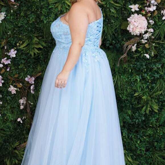 Molly - Picture 2 of 6